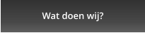Wat doen wij?